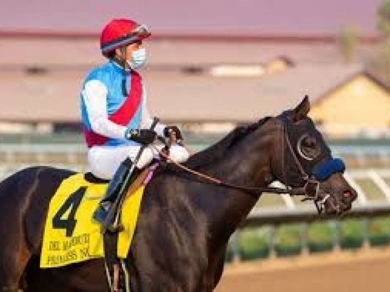 Preview: US$1 million Breeders' Cup Juvenile Fillies Turf